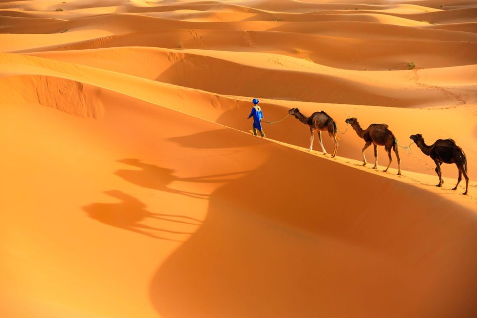 From Agadir: Camel Ride and Flamingo Trek - Location Information