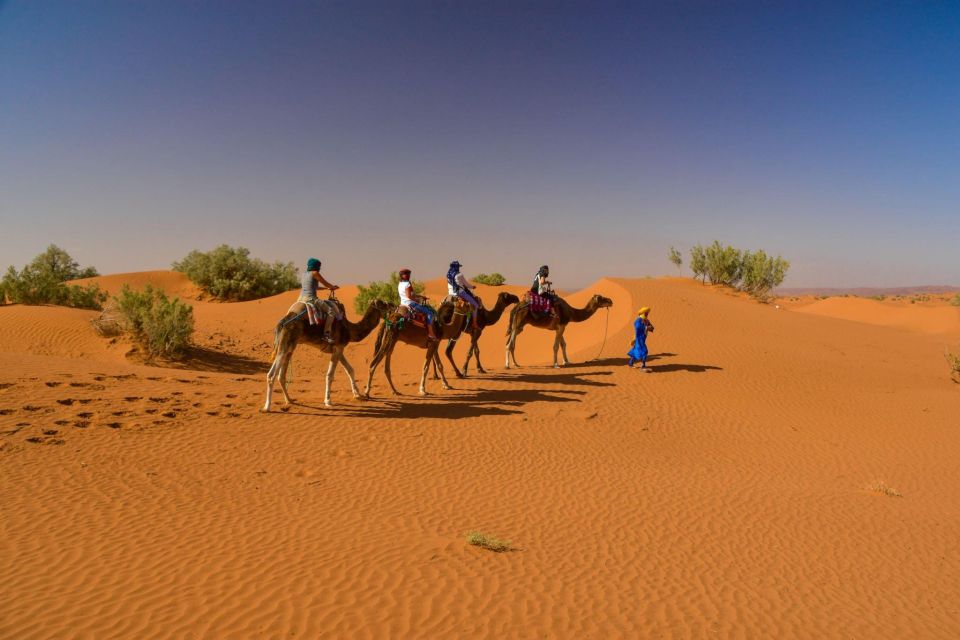From Agadir: Camel Ride and Flamingo Trek - Cultural Immersion