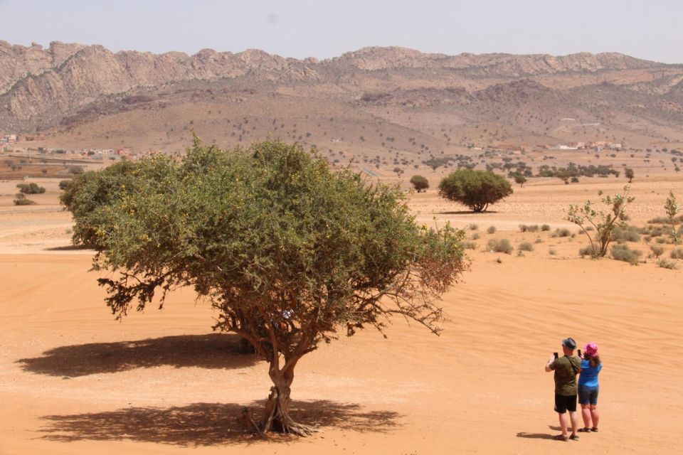 From Agadir or Taghazout : 4x4 Sahara Desert With Lunch - Areas for Improvement