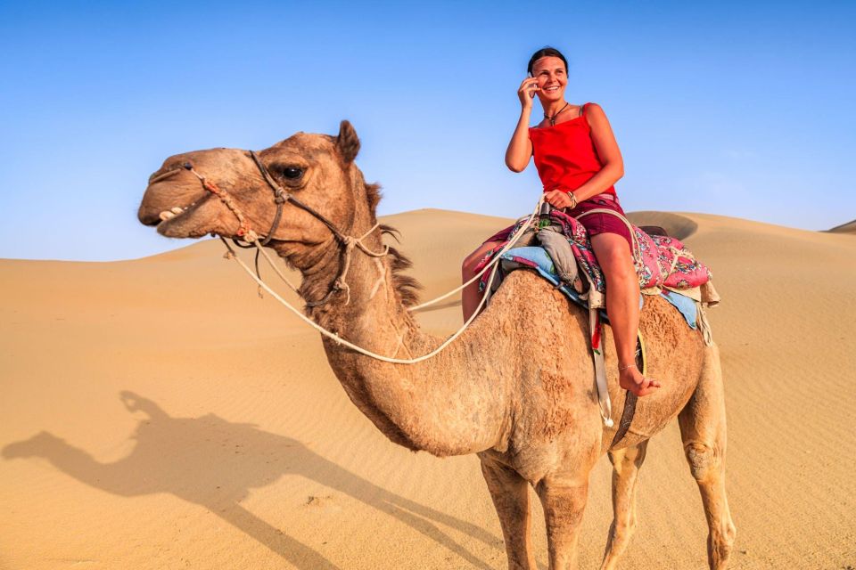 From Agadir or Taghazout: Camel Ride and Flamingo River Tour - Booking Information