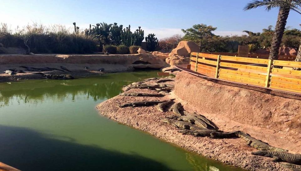 From Agadir or Taghazout: Crocoparc Trip With Entry Ticket - Additional Information