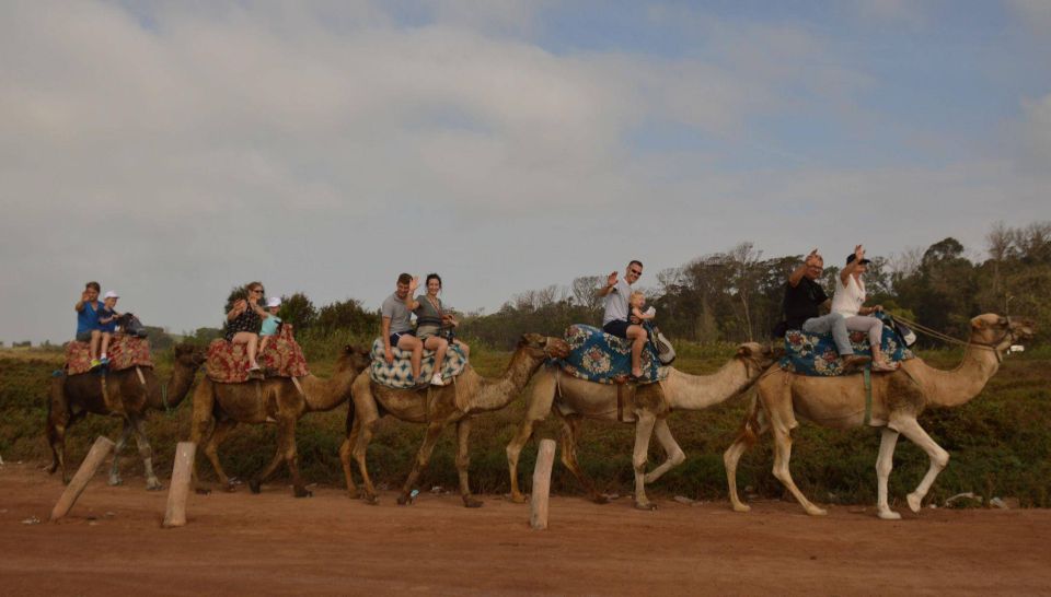 From Agadir or Taghazout: Flamingo River Camel Ride & Tea - Full Experience Description