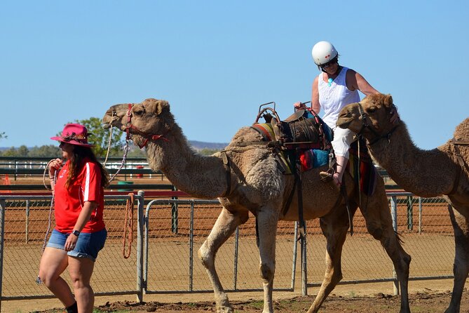 From Agadir or Taghazout or Port 2 Hours Camel Ride - Booking Information