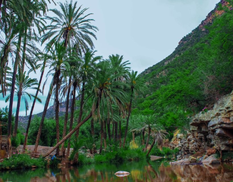 From Agadir: Paradise Valley Atlas Mountain & Optional Lunch - Additional Information