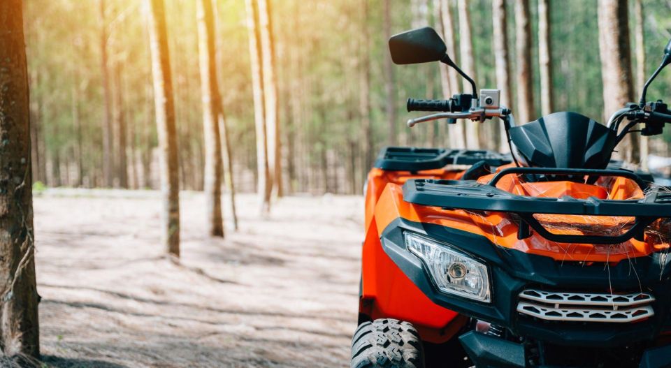 From Agadir: Quad ATV Biking in Sund Dunes & Forest - Adrenaline-Fueled Quad Safari