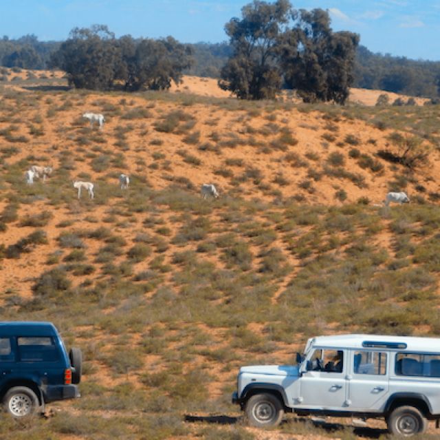 From Agadir: Safaris & Wildlife With Lunch - Participant Guidelines