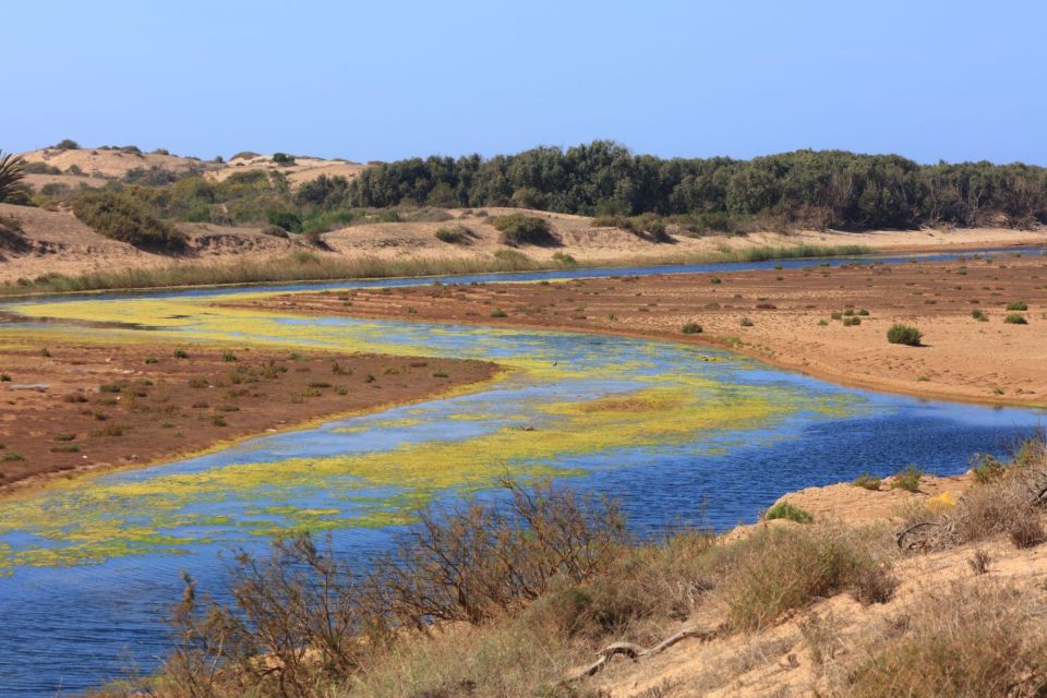 From Agadir: Sous Massa National Park Desert Safari W/Lunch - Safari Itinerary