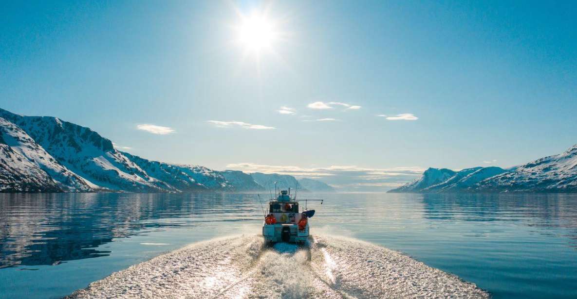From Alta: Adventure Cruise in Alta Fjord - Important Information