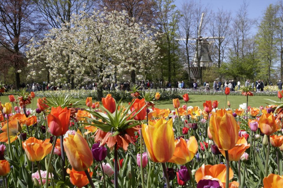 From Amsterdam: Keukenhof Entrance and Public Bus Transfer - Reservation