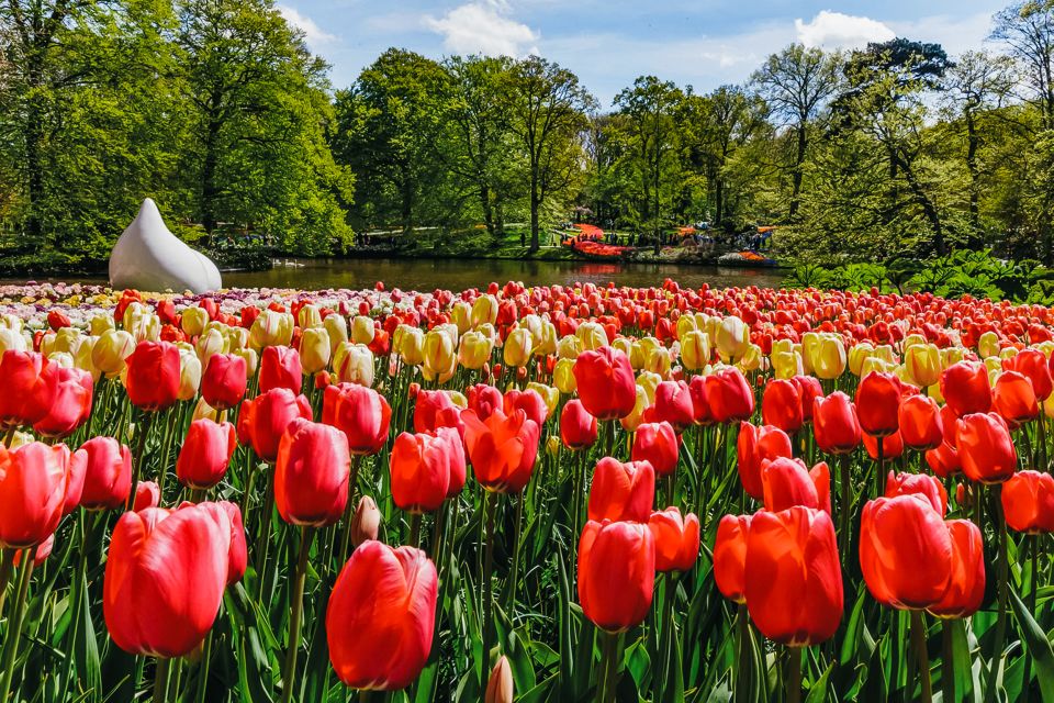 From Amsterdam: Keukenhof Entry and Roundtrip Shuttle Bus - Customer Reviews