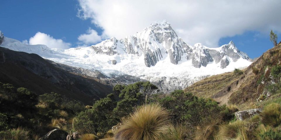 From Ancash: Trekking Alpamayo Cedars 9Days-8Nights - Safety and Health Considerations