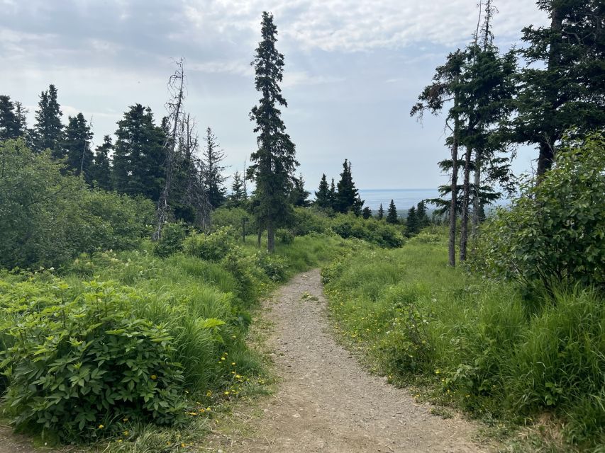 From Anchorage: Chugach State Park Walk With Naturalist - Additional Information