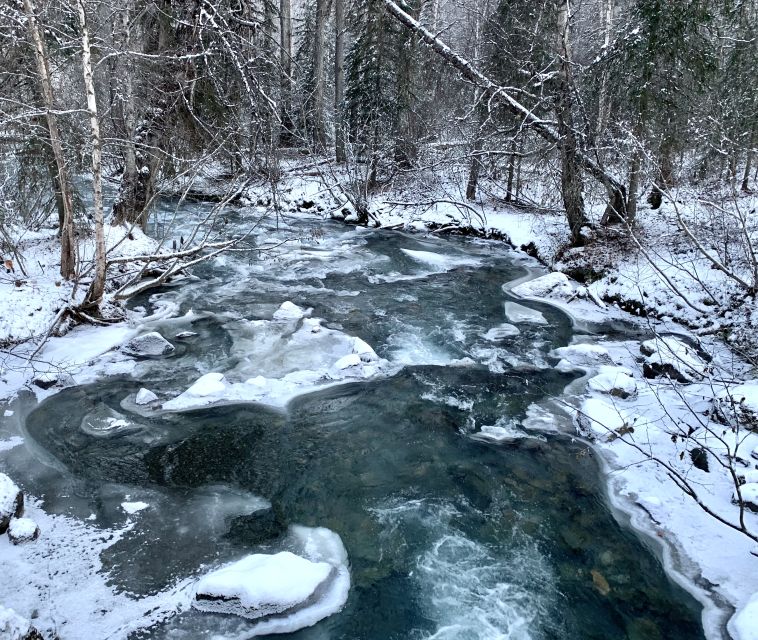 From Anchorage: Chugach State Park Winter Walking Tour - Departure Information
