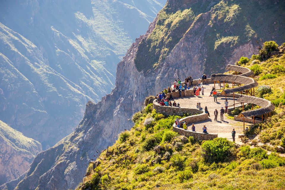 From Arequipa: 2-Day Colca Canyon Tour With Transfer to Puno - Review Summary and Customer Feedback