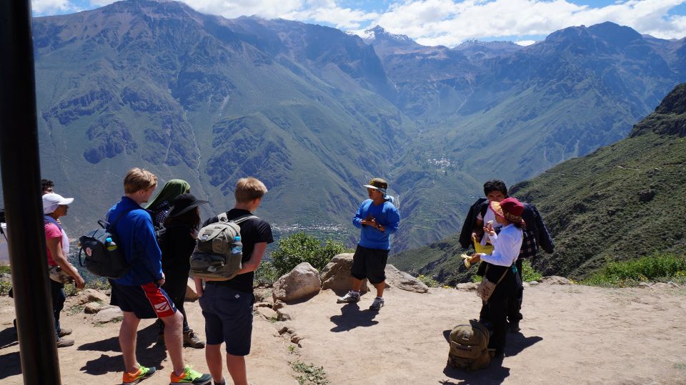 From Arequipa: 3-day Colca Canyon Hike Tour Adventure - Reviews Summary