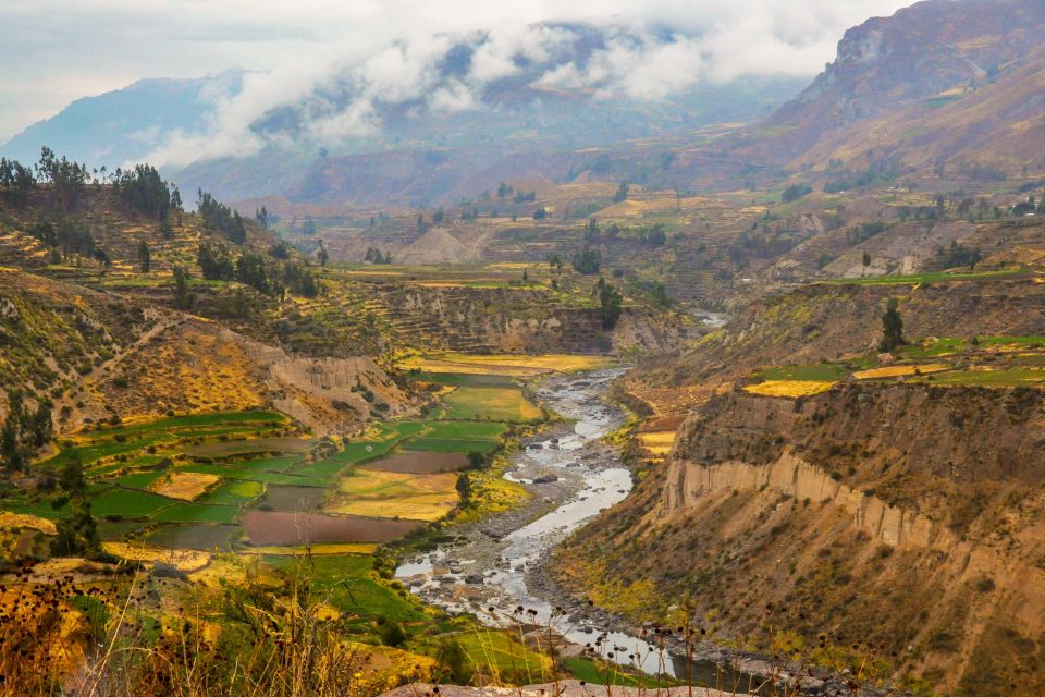 From Arequipa: Colca Canyon Two-Day Tour - Overall Tour Experience and Landscape Beauty