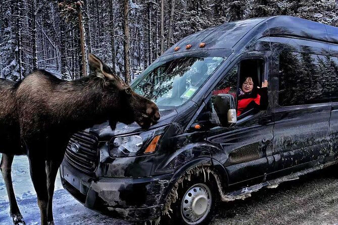 From Banff/Canmore: Moraine Lake and Lake Louise Shared Transfer - Directions