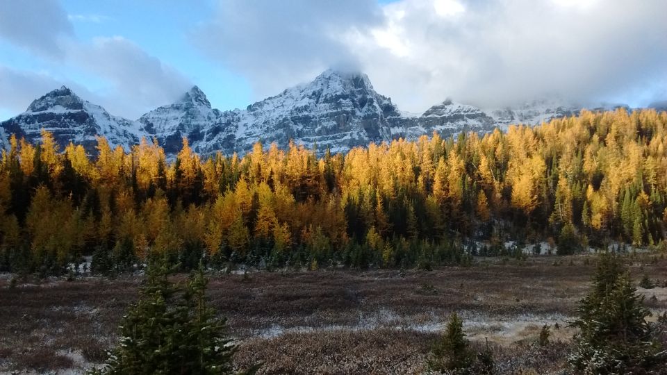 From Banff or Lake Louise: Moraine Lake & Larch Valley Hike - Customer Reviews