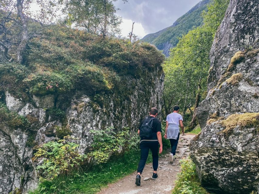 From Bergen: Folgefonna National Park & Glacier Lake Tour - Inclusions