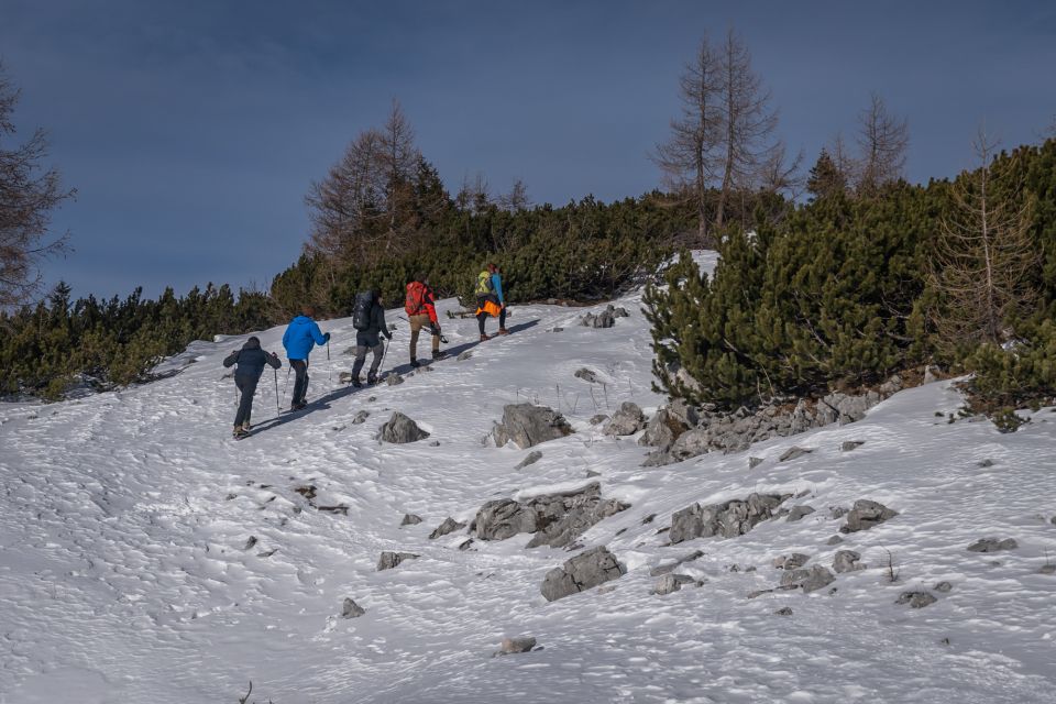 From Bled: Day Trip to Julian Alps & Hiking With Local Guide - Preference Management