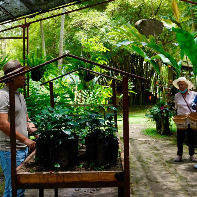 From Bogotá: Coffee Farm and Tequendama Falls Tour - Last Words