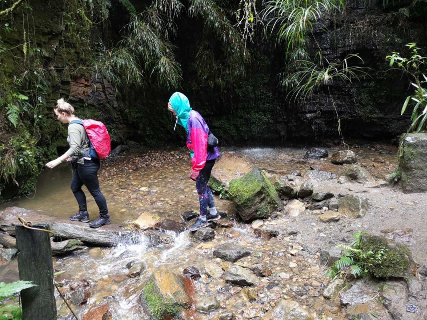 From Bogota: Hike to Colombia's Highest Waterfall - Meeting Point and Logistics