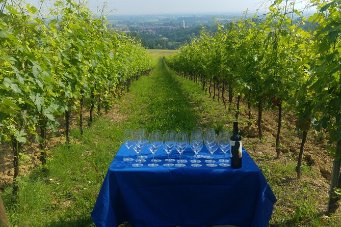 From Bologna: Wine Tasting and Vineyard Tour With the Winemaker - Tour Capacity and Operator