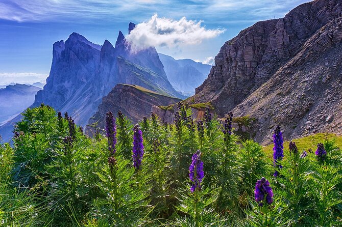 From Bolzano: Private Tour of Dolomites in Mount Seceda and Funes Valley - Customer Reviews