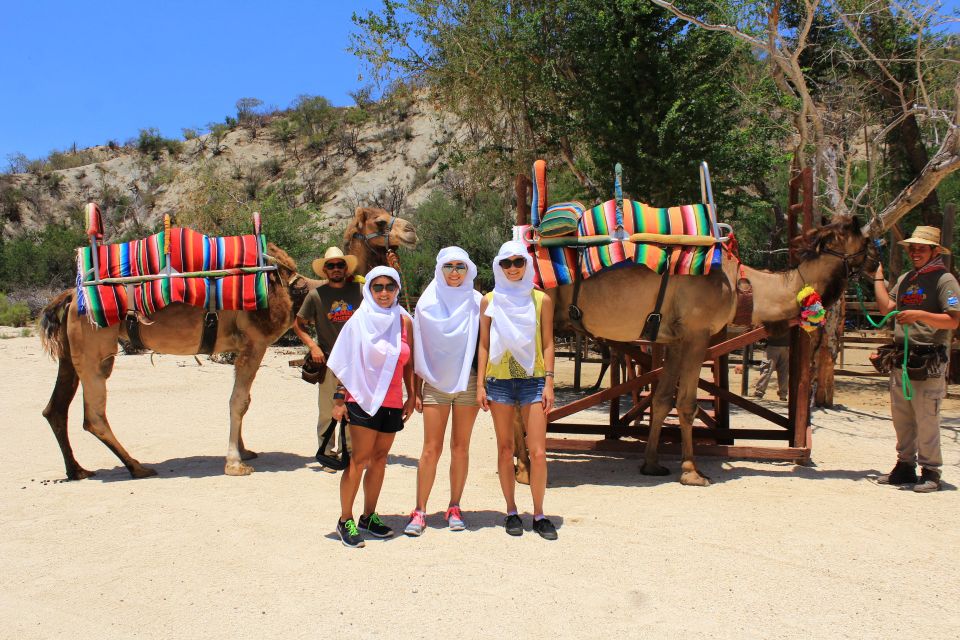 From Cabo: El Tule Canyon Camel Adventure - Important Information