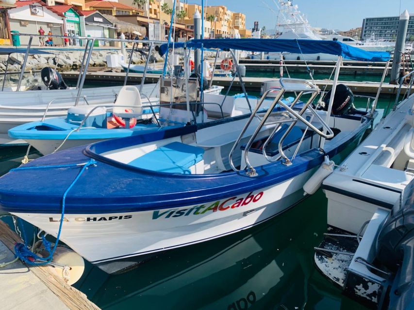 From Cabo San Lucas: Lovers Beach and El Arco Boat Trip - Last Words