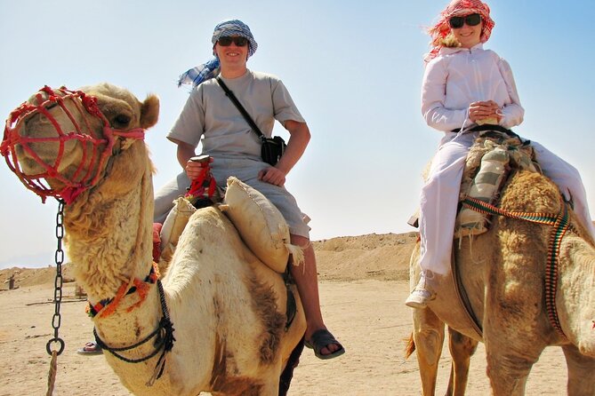 From Cairo: Desert Safari, Waterfalls, Sand Boarding and Camel Ride With Lunch - Recommendations and Satisfaction