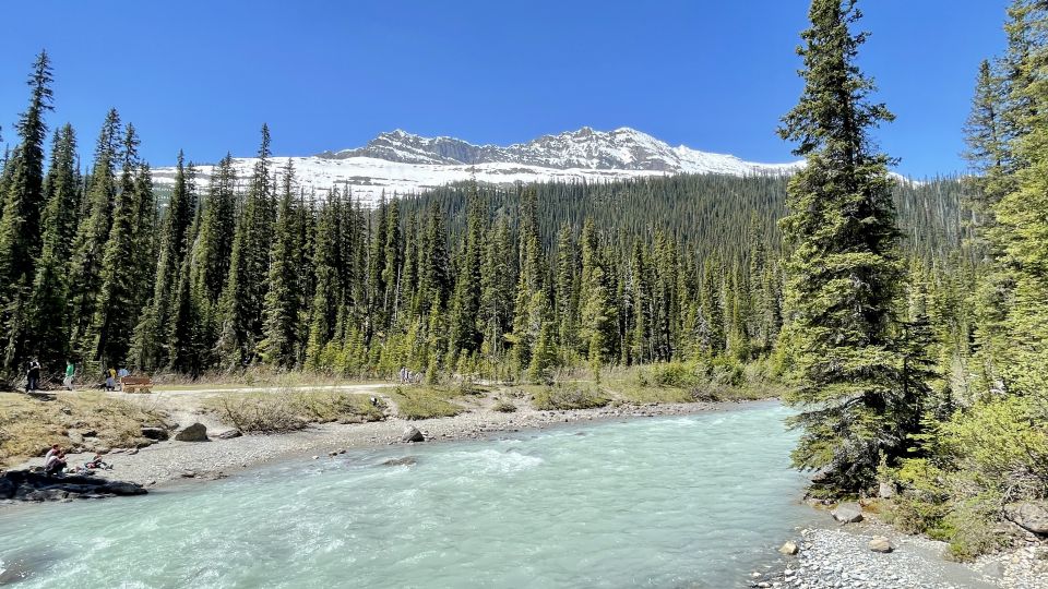 From Calgary: Banff & Yoho National Parks Private Day Tour - Booking Information