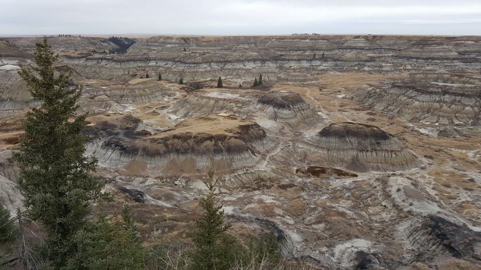 From Calgary: Canadian Badlands Private Geological Tour - Geological Wonders