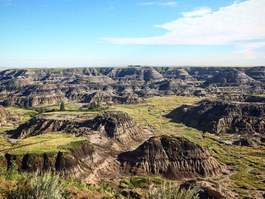 From Calgary: Guided Day Tour to Drumheller - Customer Feedback