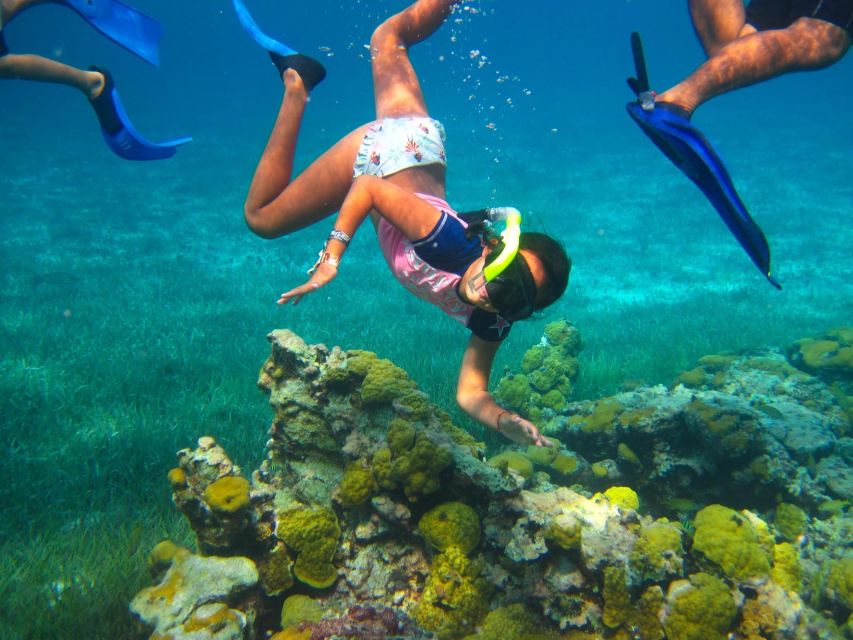 From Cancun and Riviera Maya: Cozumel Snorkeling Tour - Activity Highlights