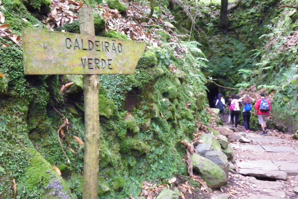 From Caniço/Funchal: Levada Caldeirão Verde Hiking Trip - Customer Reviews