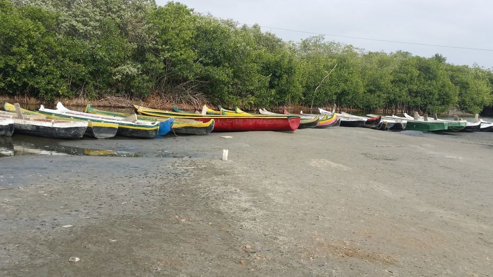 From Cartagena: Mangroves Trip With Lunch - Wildlife Boat Tour