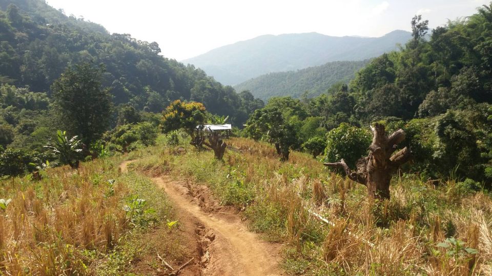 From Chiang Mai: High Mountain Day Trek - Customer Reviews