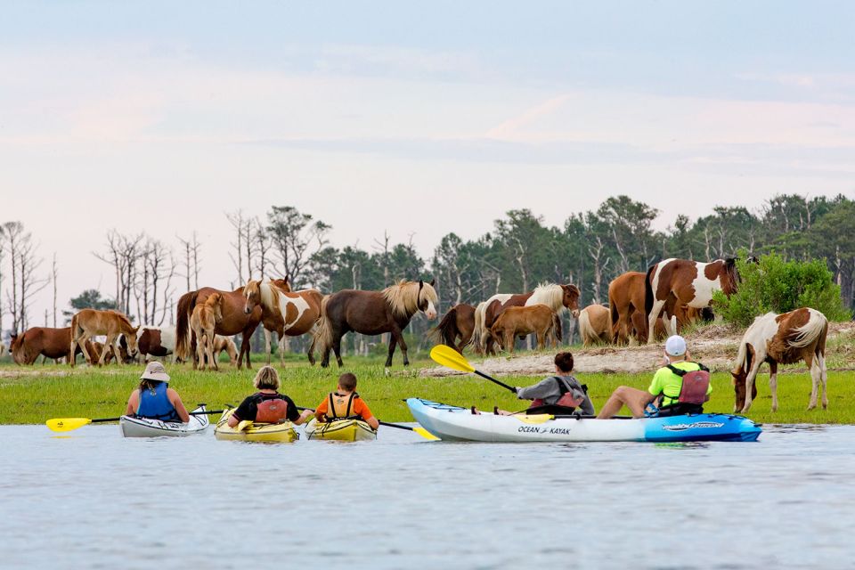 From Chincoteague: Guided Kayak Tour to Assateague Island - Booking Details