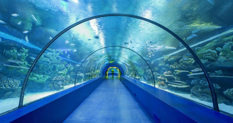From City of Side: Antalya Aquarium Full-Day Trip - Family-Friendly Experience