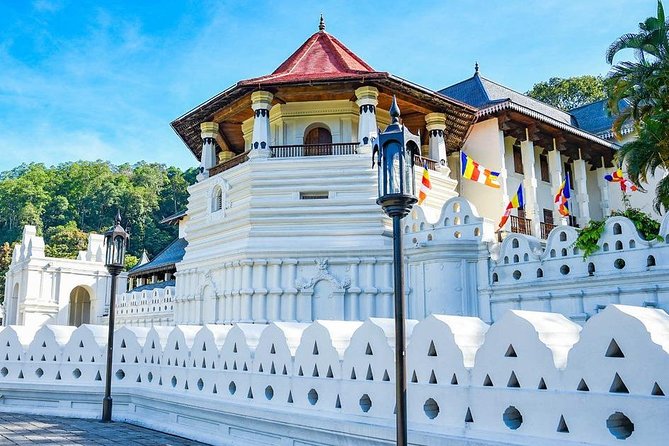 From Colombo to Sigiriya Lion Rock & Minneriya Half Day Safari - Entrance Fees and Inclusions