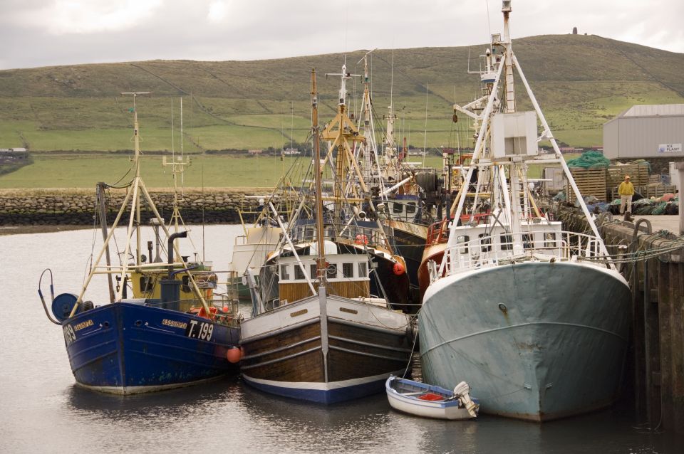 From Cork: Full-Day Guided Tour to Dingle Peninsula - Inclusions