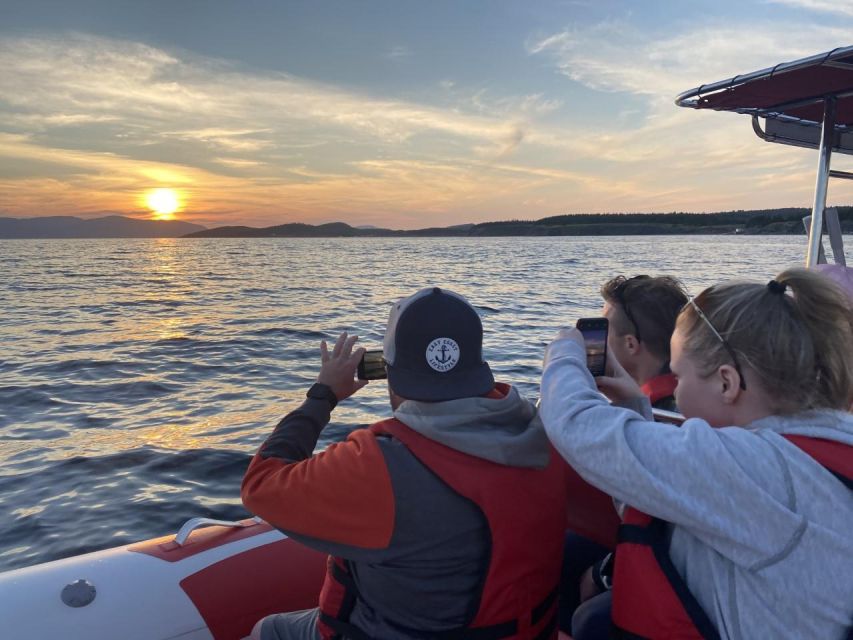 From Corner Brook : Bay Of Islands Island Zodiac Boat Tour - Last Words