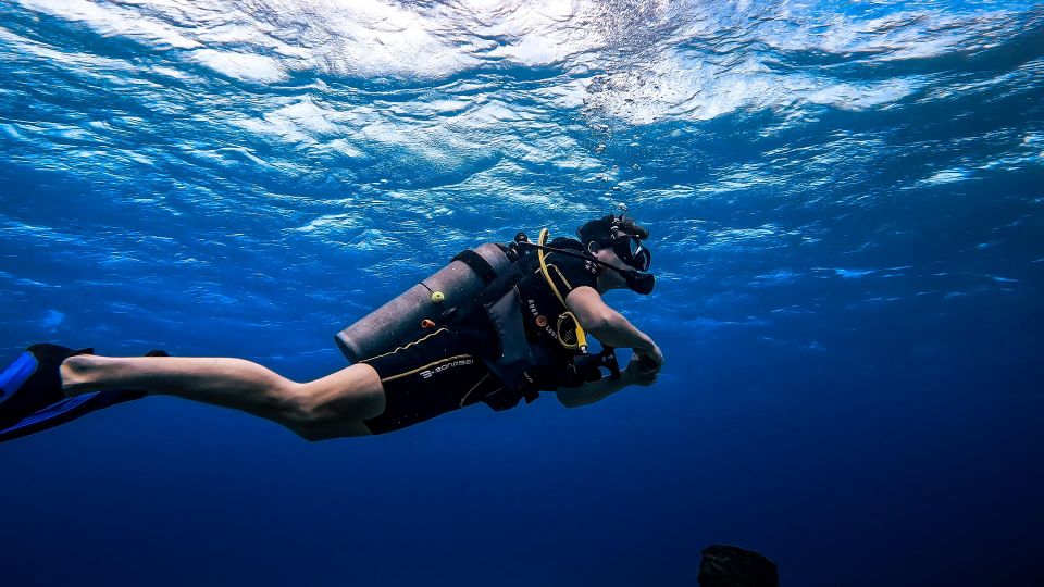 From Cozumel: Double Tank Scuba Diving for Certified Divers - Equipment Needed for Double Tank Diving