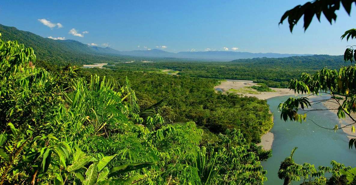 From Cusco: 4D/3N in the Amazon of the Manu National Park - Wildlife Encounters