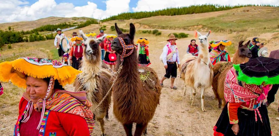 From Cusco: Llama Trekking - Inclusions and Reservation Options