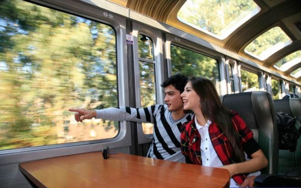 From Cusco: Machu Picchu Private Day Trip on Panoramic Train - Common questions