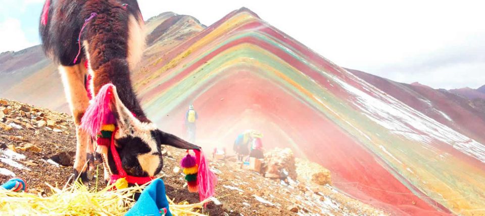 From Cuzco: Rainbow Mountain Adventure Private Tour - Common questions