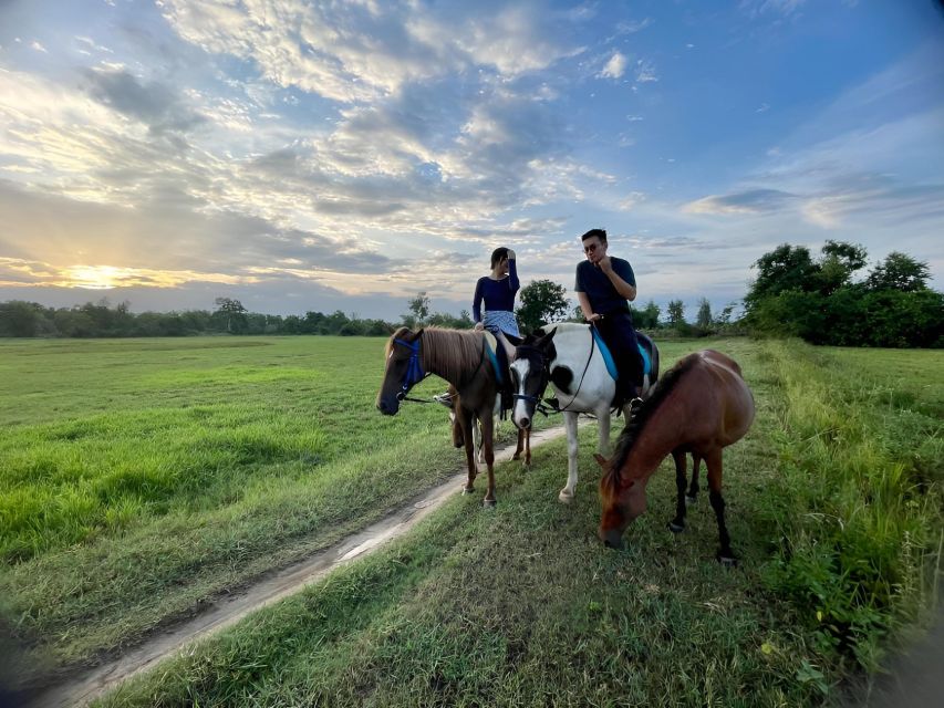 From Da Nang: Half Day Horse Riding and Coconut Boat-Hoi An. - Itinerary