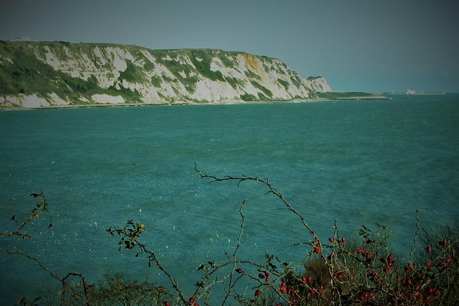 From Dover Port; Grand Tour of White Cliffs Country & Back - Company Background